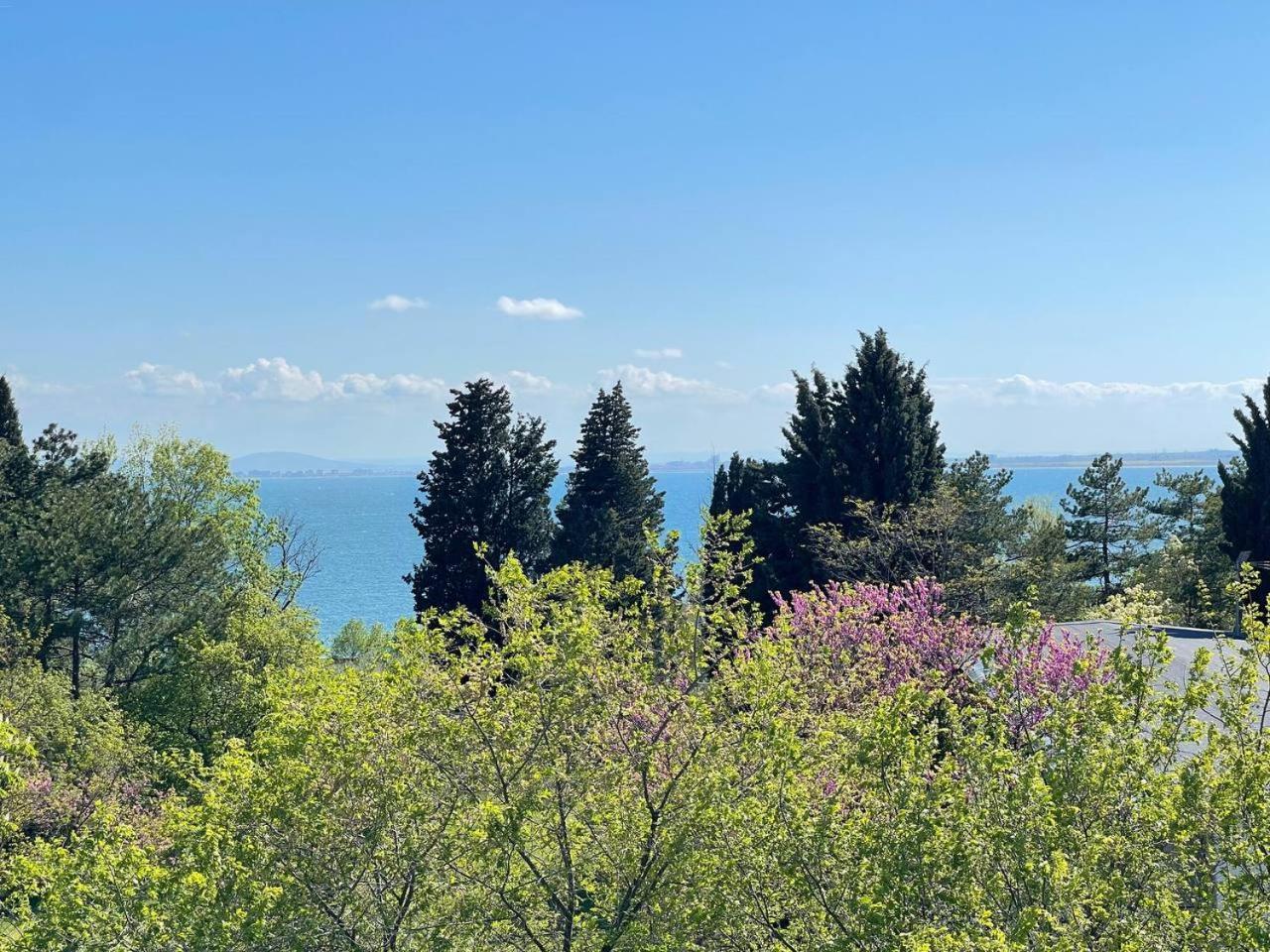 Ravda Family Resort. Park&Sea Dış mekan fotoğraf